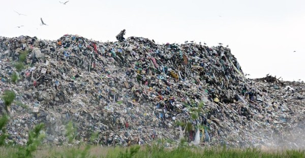 В Омской области ликвидировали 9 незаконных свалок