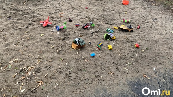 В Омске на детскую площадку рухнуло дерево