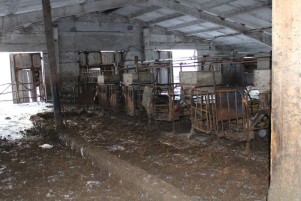 
									Житель Омской области 4 месяца воровал корм с фермы   [ФОТО]  