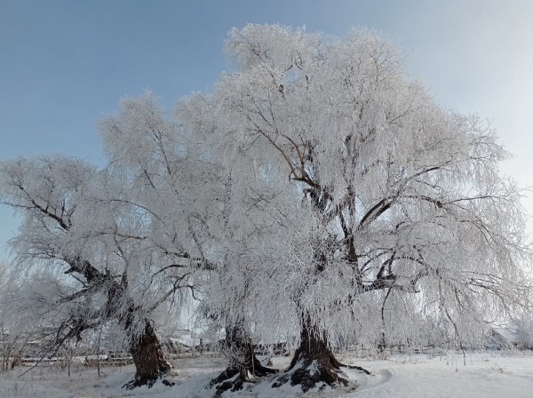
									В новогоднюю ночь в Омской области похолодает до –33 