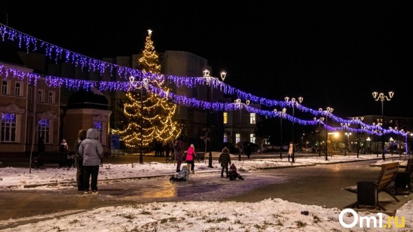 Глава Гидрометцентра Роман Вильфанд предупредил омичей о надвигающихся морозах до -34