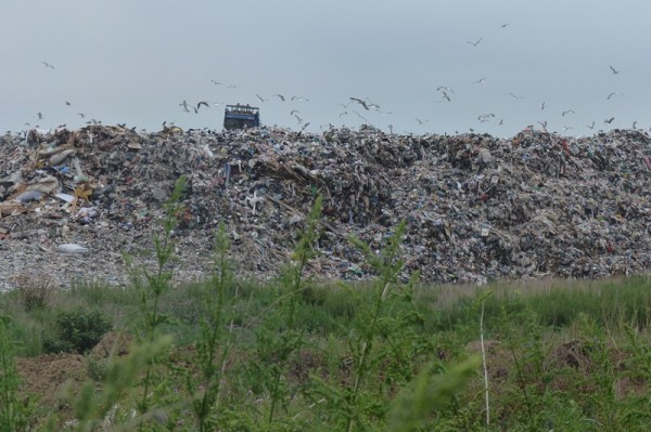 
									Для кого омское Минприроды имитирует «мусорную» реформу? 