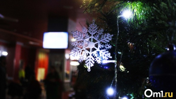 Чего нам ждать? В Омске снова изменили прогноз погоды на Новый год