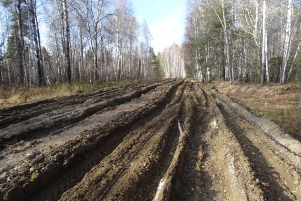 «Пока у нас такие чиновники, будем сидеть без дорог»
«Пока у нас такие чиновники, будем сидеть без дорог»