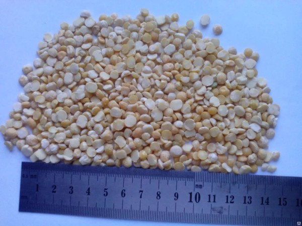 
									В Омске могут открыть производство горохового молока 