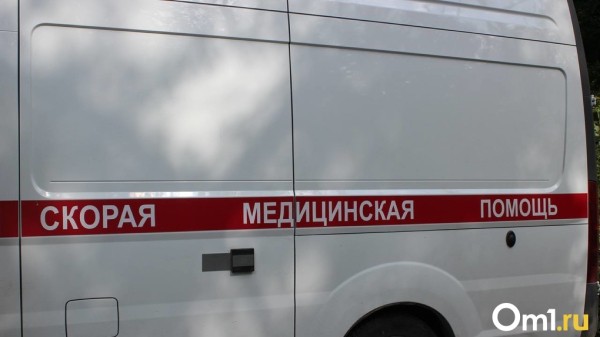 Новосибирцы показали мост, где заживо сварился мужчина Новосибирцы показали мост, где заживо сварился мужчина