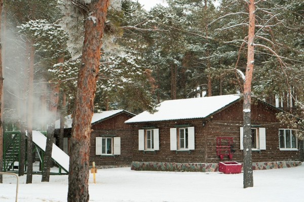 
									Омичей приглашают в сосновый бор за релаксом и здоровьем 
