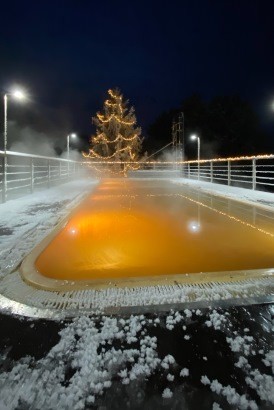 
									Омичей приглашают в сосновый бор за релаксом и здоровьем 