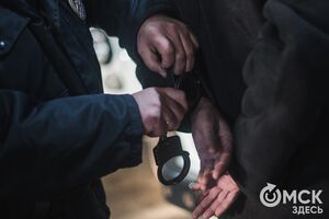 Матчи НХЛ и Арашуковы. Что ищут омичи в интернете 28 декабря