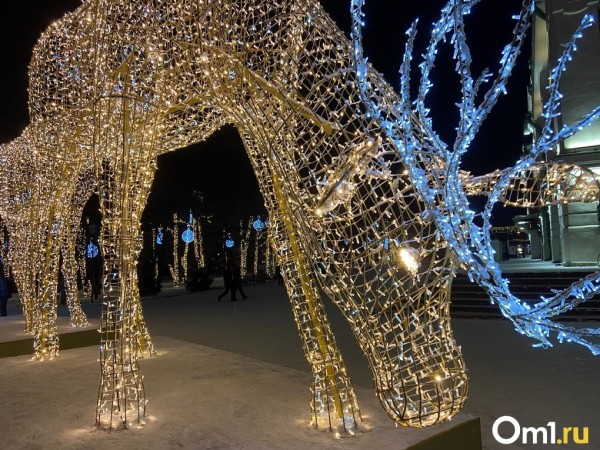 Новогодняя столица России: как Новосибирск украсили к 31 декабря Новогодняя столица России: как Новосибирск украсили к 31 декабря