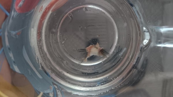 Омичка нашла в водопроводной воде кусок кожи