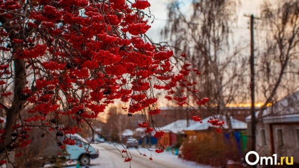 Сильные холода вернутся в Омск в начале недели