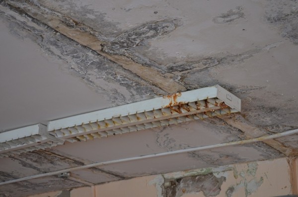 
									Школу в Омске, где царит разруха, отремонтирует меценат   [ФОТО]  