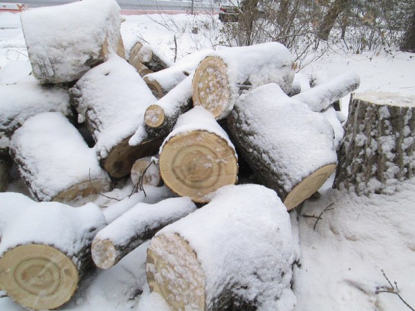 Почему Омск каждую зиму задыхается от смога?
Почему Омск каждую зиму задыхается от смога?