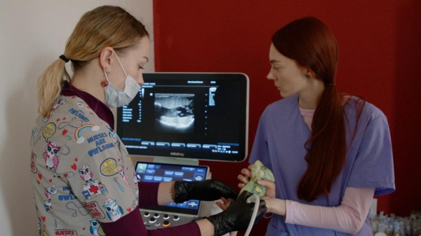 "Была сова с черепно-мозговой травмой, мы её вылечили". Интервью с врачом-экзотологом "Была сова с черепно-мозговой травмой, мы её вылечили". Интервью с врачом-экзотологом