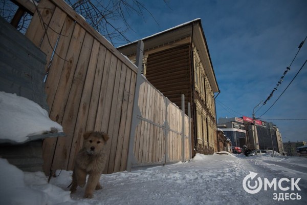 "Том Сойер Фест": как неравнодушные омичи дают вторую жизнь старинным домам