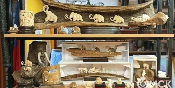 Омские студенты осваивают косторезное искусство