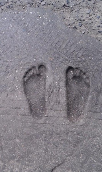 Орис Брут: «Рубим, не даем расти, болеем и умираем в Омске от канцерогенов из вонючего воздуха. Почему?»