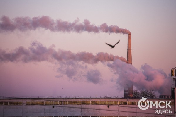 Что нам приготовил 2023 год: предсказания Ванги и Нострадамуса