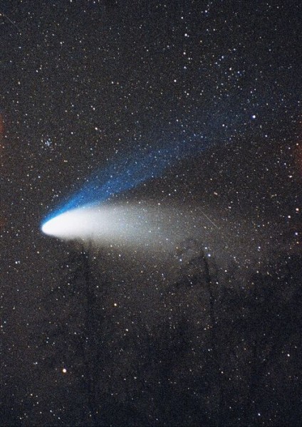 Комета Хейла-Боппа. Что пролетало над Омском за четверть века Комета Хейла-Боппа. Что пролетало над Омском за четверть века