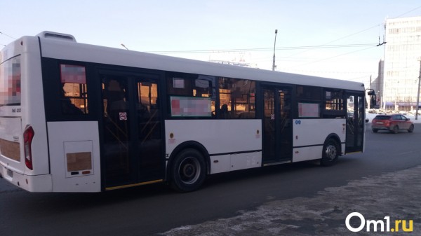 В Новосибирске объявили забастовку работники коммерческого транспорта