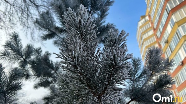 После январской оттепели омичам обещают резкое похолодание После январской оттепели омичам обещают резкое похолодание