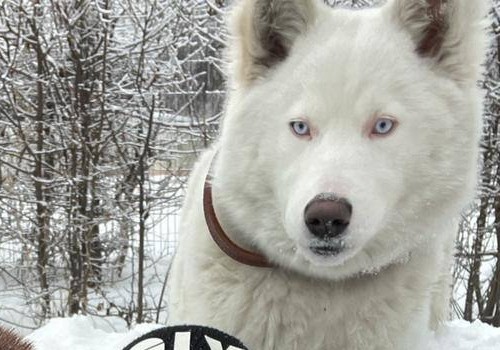 Омский губернатор Александр Бурков сообщил о пополнении в семействе Омский губернатор Александр Бурков сообщил о пополнении в семействе
