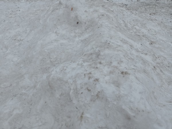 «Прячут деньги за углем»: почему омские ТЭЦ не переводят на газ?
«Прячут деньги за углем»: почему омские ТЭЦ не переводят на газ?