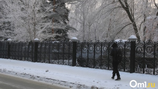 На январских каникулах в Омск придёт потепление
