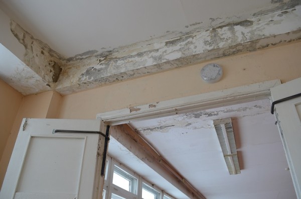 
									Школу в Омске, где царит разруха, отремонтирует меценат   [ФОТО]  