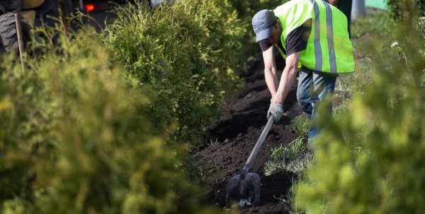 В Омской области появится "Сибирский посад" В Омской области появится "Сибирский посад"