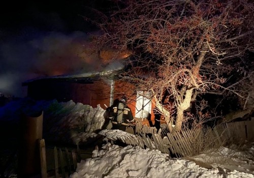 При пожаре в Омской области погибли мать и трое маленьких детей При пожаре в Омской области погибли мать и трое маленьких детей