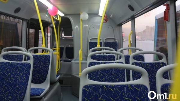 В Новосибирске кондуктор потребовала со школьников оплатить проезд и высадила их из автобуса