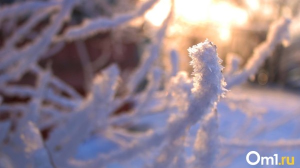 Погибло уже четыре человека: в МЧС озвучили риски для омичей из-за жёстких морозов Погибло уже четыре человека: в МЧС озвучили риски для омичей из-за жёстких морозов