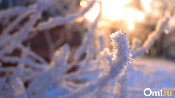 «Впечатляющие аномалии»: глава Гидрометцентра Вильфанд предупредил омичей о необычных проявлениях погоды «Впечатляющие аномалии»: глава Гидрометцентра Вильфанд предупредил омичей о необычных проявлениях погоды