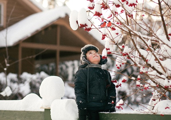 
									Россельхозбанк помог 220 семьям из омских сел стать обладателями нового жилья 