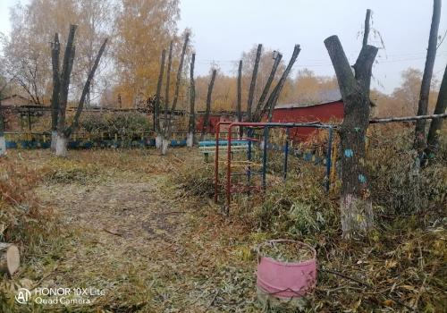 Орис Брут: «Рубим, не даем расти, болеем и умираем в Омске от канцерогенов из вонючего воздуха. Почему?»