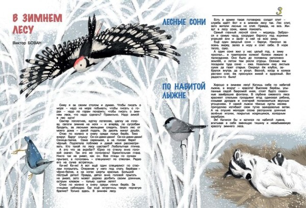 Про лыжню, поляну и лес. В журнале "Мурзилка" вышли рассказы о природе омского писателя Про лыжню, поляну и лес. В журнале "Мурзилка" вышли рассказы о природе омского писателя