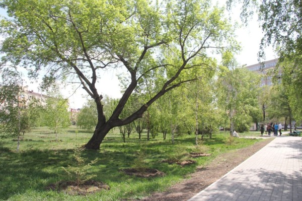 В центре Омска за 32 млн благоустроят еще один сквер
В центре Омска за 32 млн благоустроят еще один сквер