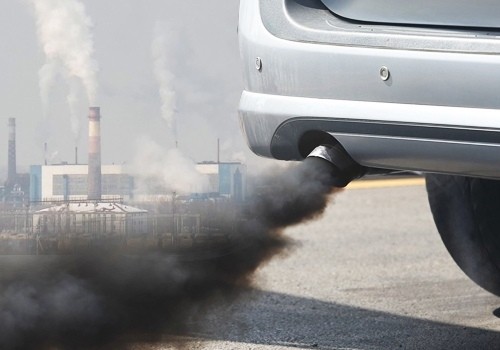 Орис Брут: «Рубим, не даем расти, болеем и умираем в Омске от канцерогенов из вонючего воздуха. Почему?»