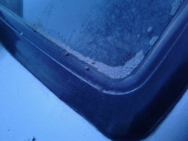 
									«Прячут деньги за углем»: почему омские ТЭЦ не переводят на газ? 