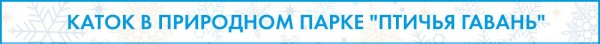Доели салаты? Пора вставать на коньки!