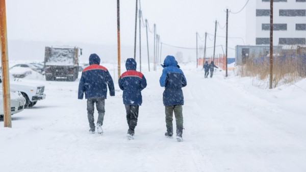 Обильный снегопад и потепление к концу недели ожидают новосибирцев в ближайшие выходные