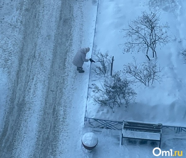 &laquo;Проходил мимо. Смотрю &ndash; бабушки плачут&raquo;: омич спас ворону и до сих пор с ней дружит