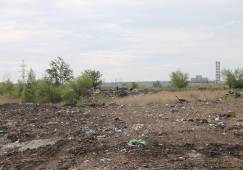 Минприроды РФ официально разъяснило, куда повезут омский мусор