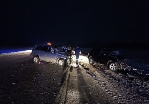 Умерла вторая девочка, пострадавшая в автоаварии в Омской области