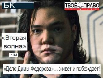 Фемида осудила лжесвидетеля-понятую Елену Еремееву по громкому «делу Димы Федорова»