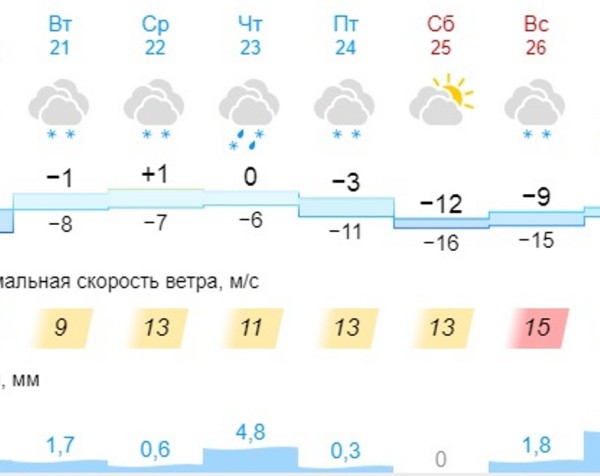 В День защитника Отечества Омск накроет снег с дождём