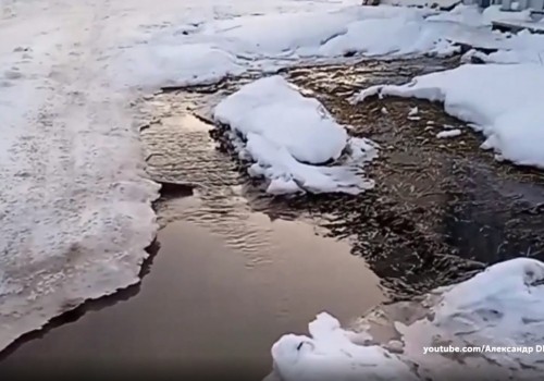 Комиссия Минприроды успела «засечь» следы сброса стоков в реку под Омском