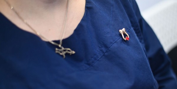 "Заводишь инструмент под десну, а выходит в районе глаза". Почему важно следить за состоянием зубов питомцев